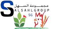 Salsahl Group logo