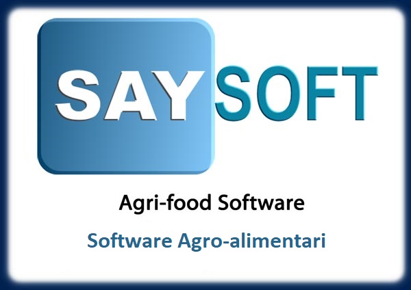 Saysoft Logo Big